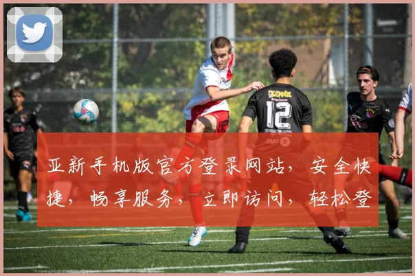 亚新手机版官方登录网站，安全快捷，畅享服务，立即访问，轻松登录，体验非凡