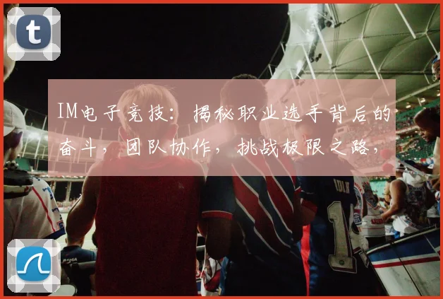 IM电子竞技：揭秘职业选手背后的奋斗，团队协作，挑战极限之路，共赴荣耀之巅