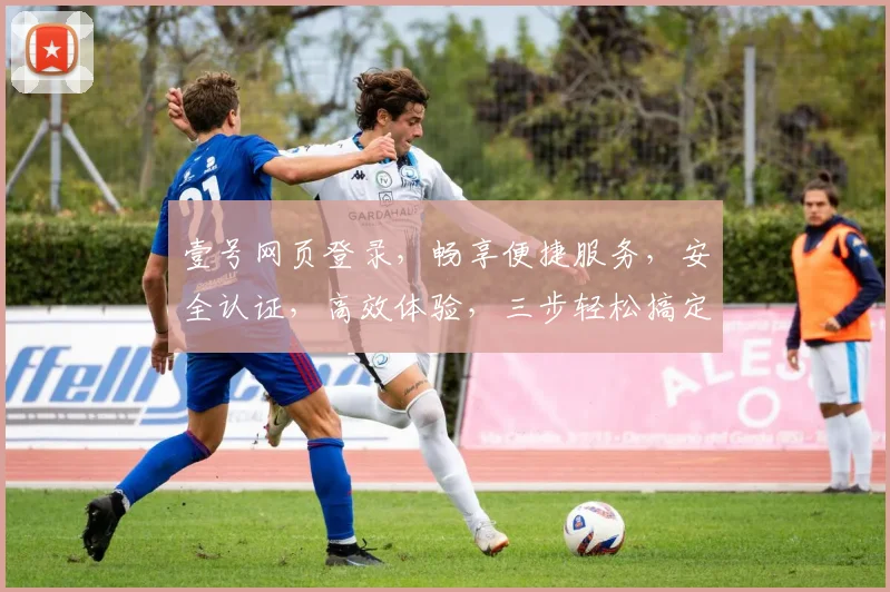 壹号网页登录，畅享便捷服务，安全认证，高效体验，三步轻松搞定，登录无忧