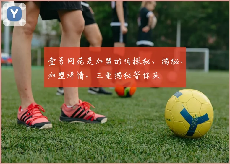 壹号网苑是加盟的吗探秘、揭秘、加盟详情，三重揭秘等你来
