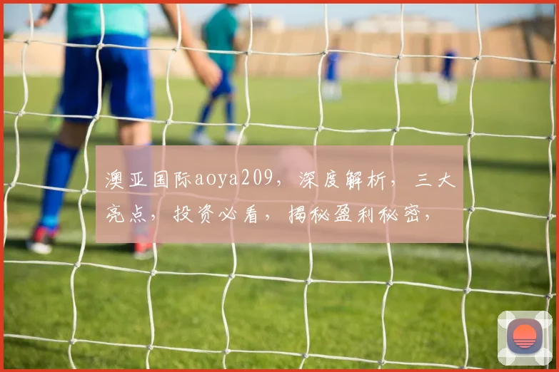 澳亚国际aoya209，深度解析，三大亮点，投资必看，揭秘盈利秘密，不容错过